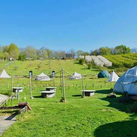 Tente de luxe Eco-lieu De Groupe